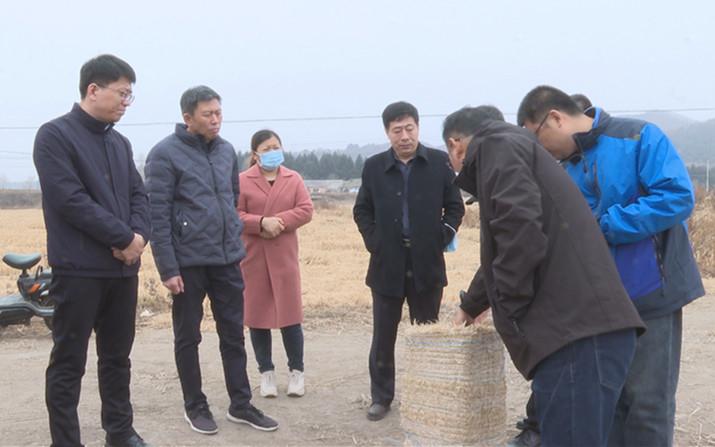 凱迪生態(tài)最新消息，引領綠色發(fā)展的先鋒力量