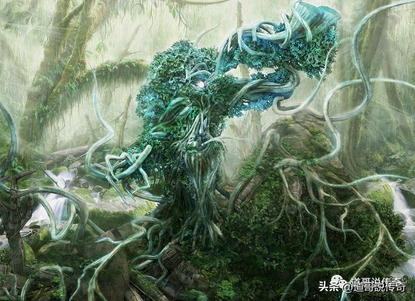 最新更新章節(jié)揭秘，神級龍衛(wèi)的傳奇之旅