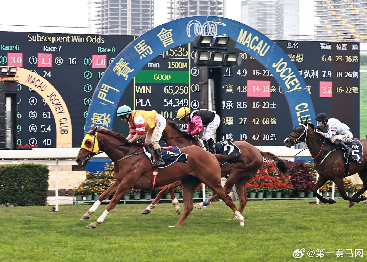 探索澳門特馬，今晚2024年澳門特馬開彩的奧秘與期待