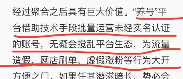 澳門三肖三碼精準(zhǔn)100%黃大仙，揭示背后的違法犯罪問(wèn)題