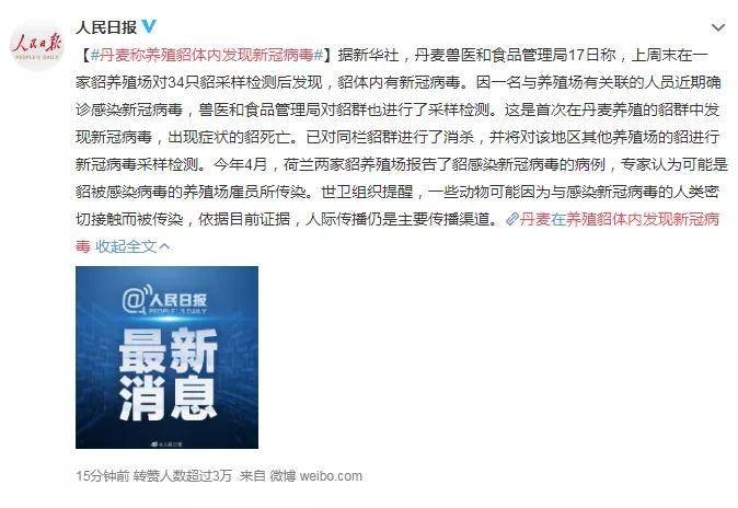 警惕網(wǎng)絡(luò)陷阱，關(guān)于新澳天天彩免費(fèi)資料大全查詢的真相