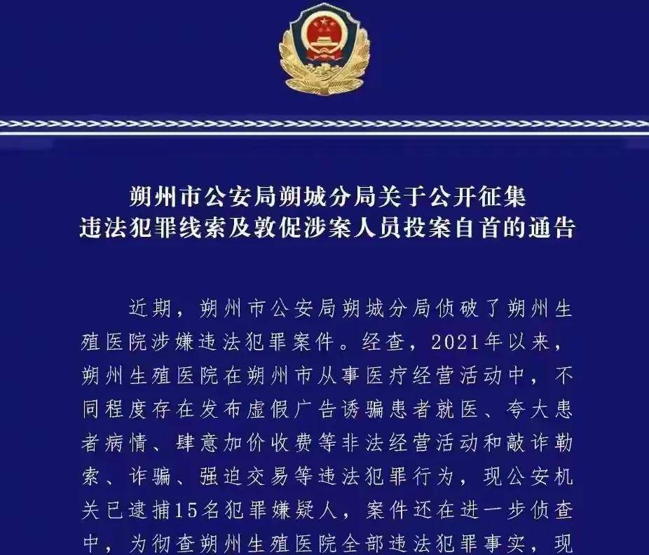 2024年12月5日 第20頁