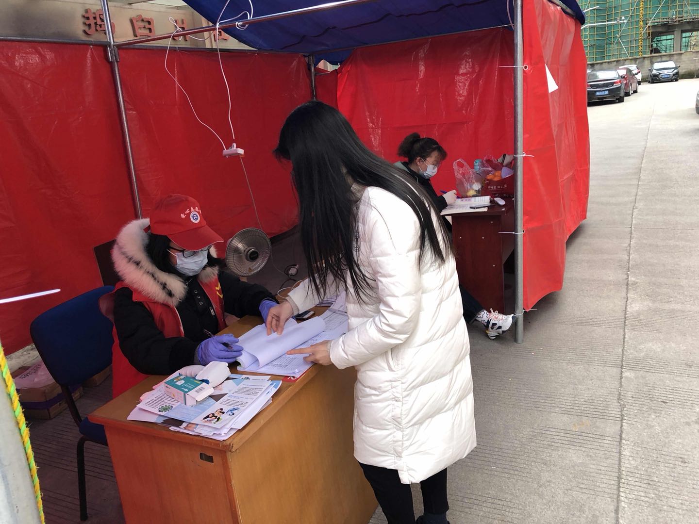 疫情最新動態(tài)下的狗狗角色轉變與應對策略