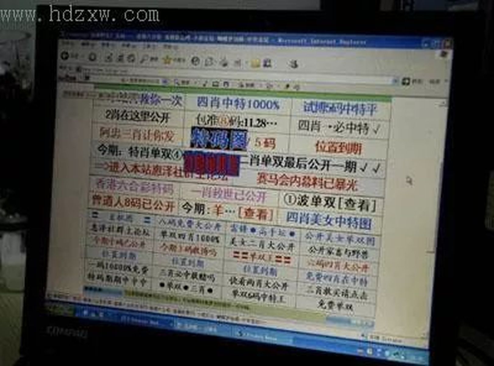 澳門王中王100%的資料一,澳門王中王100%的資料一，揭示違法犯罪的真面目