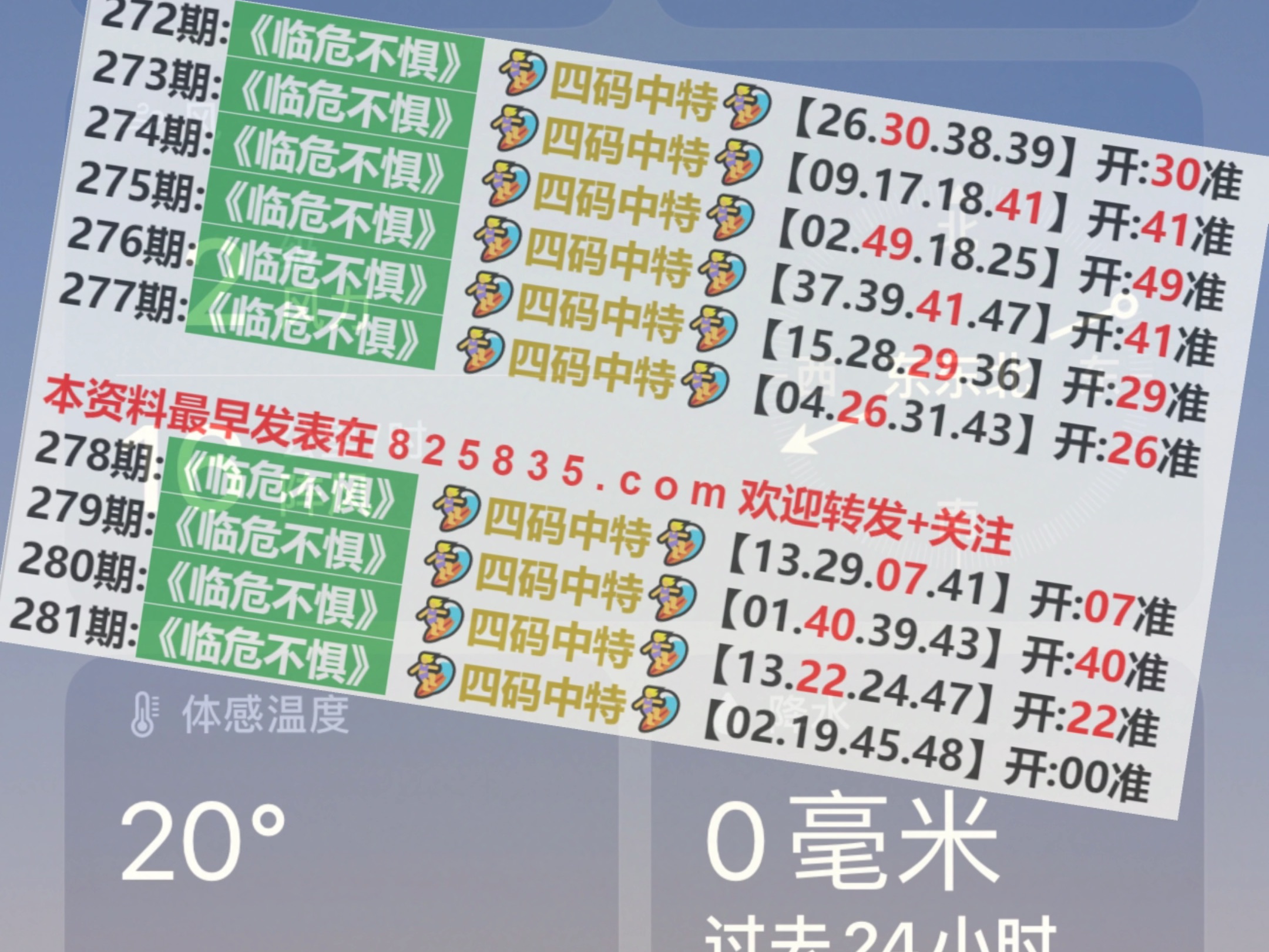 2024年12月11日 第23頁