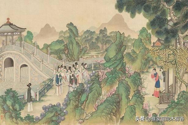 最新醉紅樓，探索紅樓夢(mèng)的新視角與新解讀