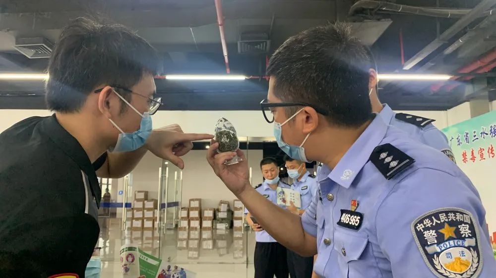 禁毒最新動態(tài)，全球聯(lián)手，共建無毒社會