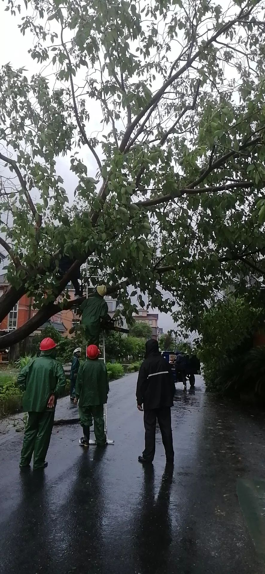 丹東遭遇最新臺(tái)風(fēng)，風(fēng)雨中的堅(jiān)守與應(yīng)對(duì)