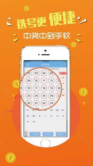 王中王彩票查詢精選號碼，揭秘彩票背后的秘密與策略
