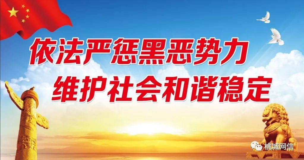澳門資料大全正版資清風(fēng)，揭示違法犯罪問題的重要性與應(yīng)對之策