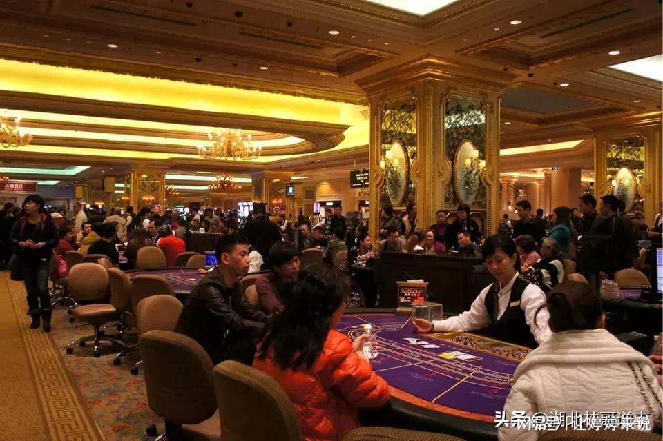 澳門六今晚開什么特馬，警惕賭博陷阱，遠(yuǎn)離犯罪深淵