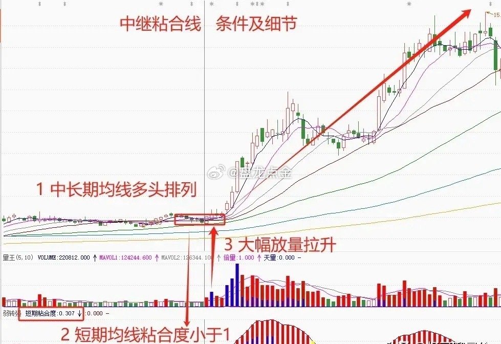 雷霆戰(zhàn)姬 第3頁