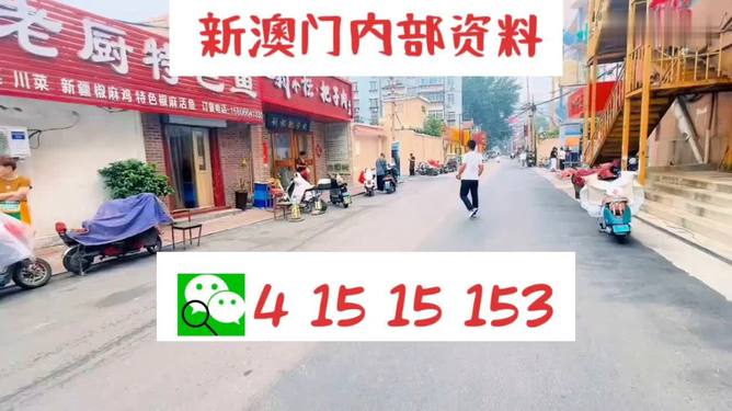 澳門天天開好彩正版資料，背后的真相與警示
