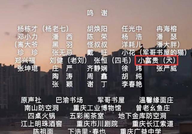 揭秘最準一肖，探尋百分之百準確精準之含義