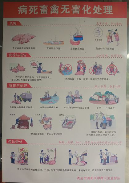 新奧門(mén)免費(fèi)資料大全使用注意事項(xiàng)
