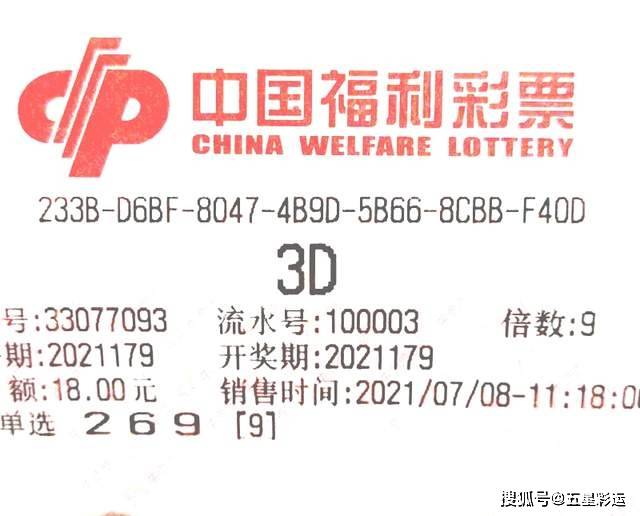 澳門一碼一肖一特一中，公開性與彩票文化的探討