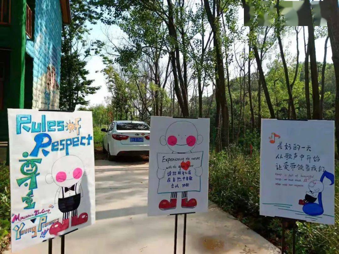 澳門(mén)王中王100期期中一期林，探索與揭秘