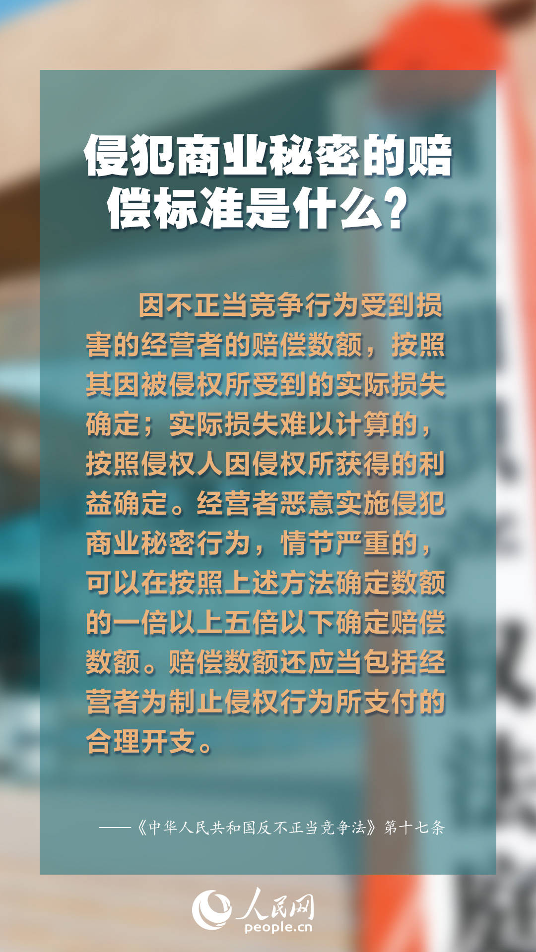 正版資料免費(fèi)綜合大全，探索知識寶藏的門戶