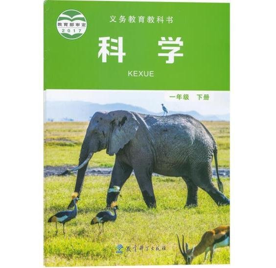 四不像正版與正版四不像，探索與解析（2023年）