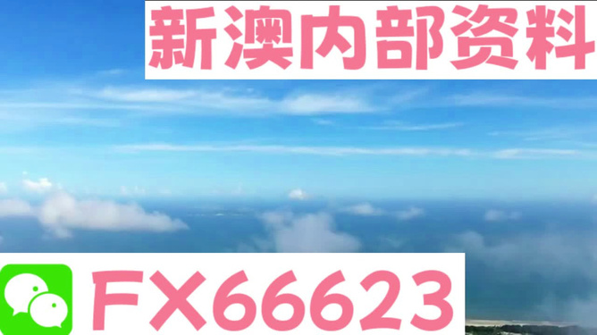 新澳2024資料免費大全版，探索未來，掌握先機