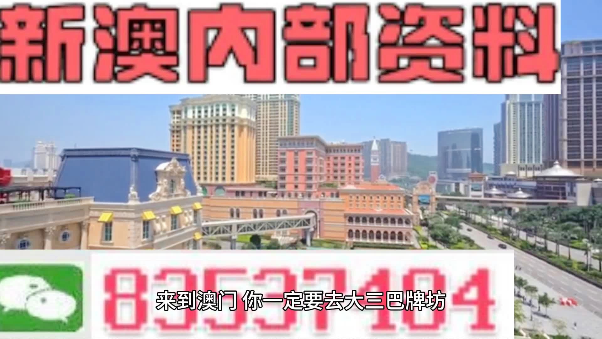 新澳門資料免費(fèi)資料，探索與解析