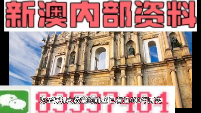 新澳2024今晚開獎資料四不像，探索與解析