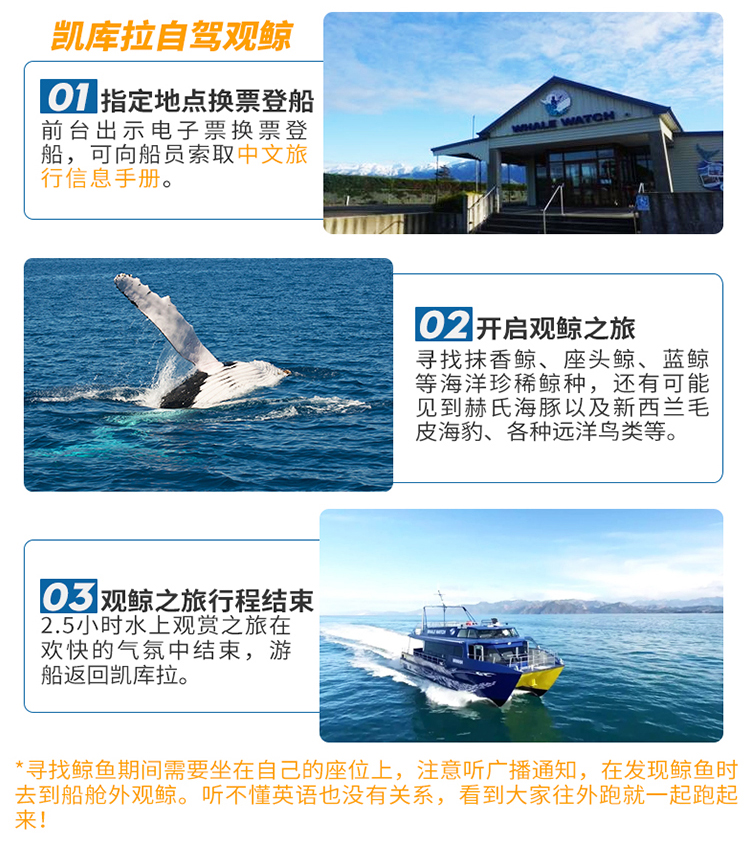 探索香港，免費資料的海洋，2024全年指南